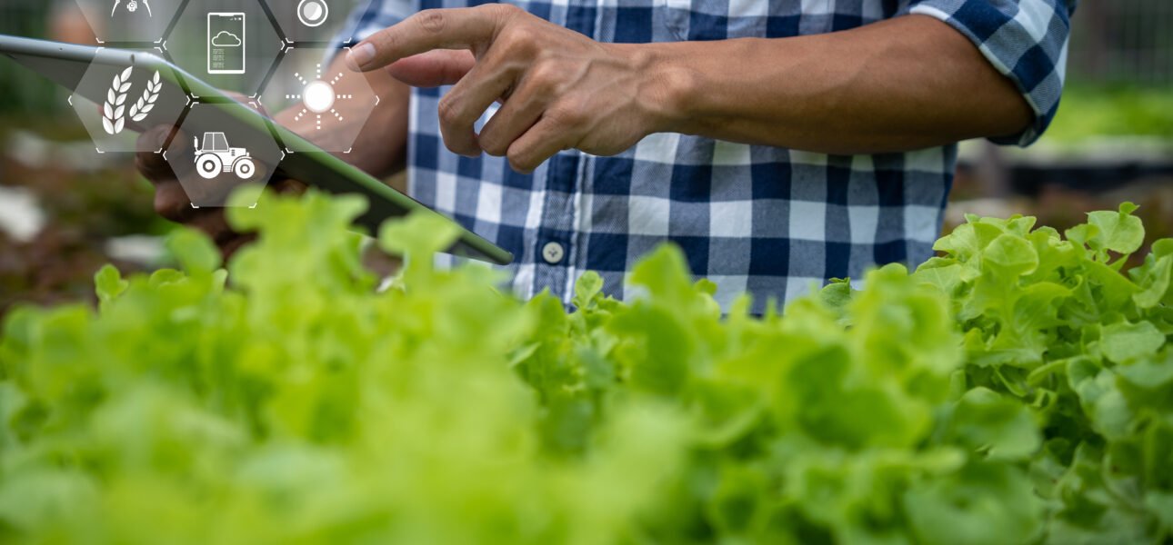 Smart-farming-scaled.jpg